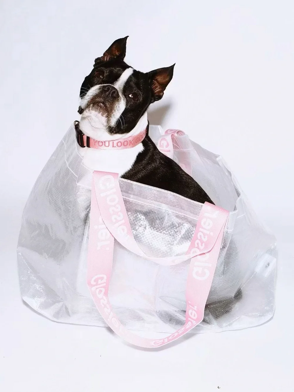 New Glossier Errand Bag Transparent Tote with Pink Straps Limited Edition
